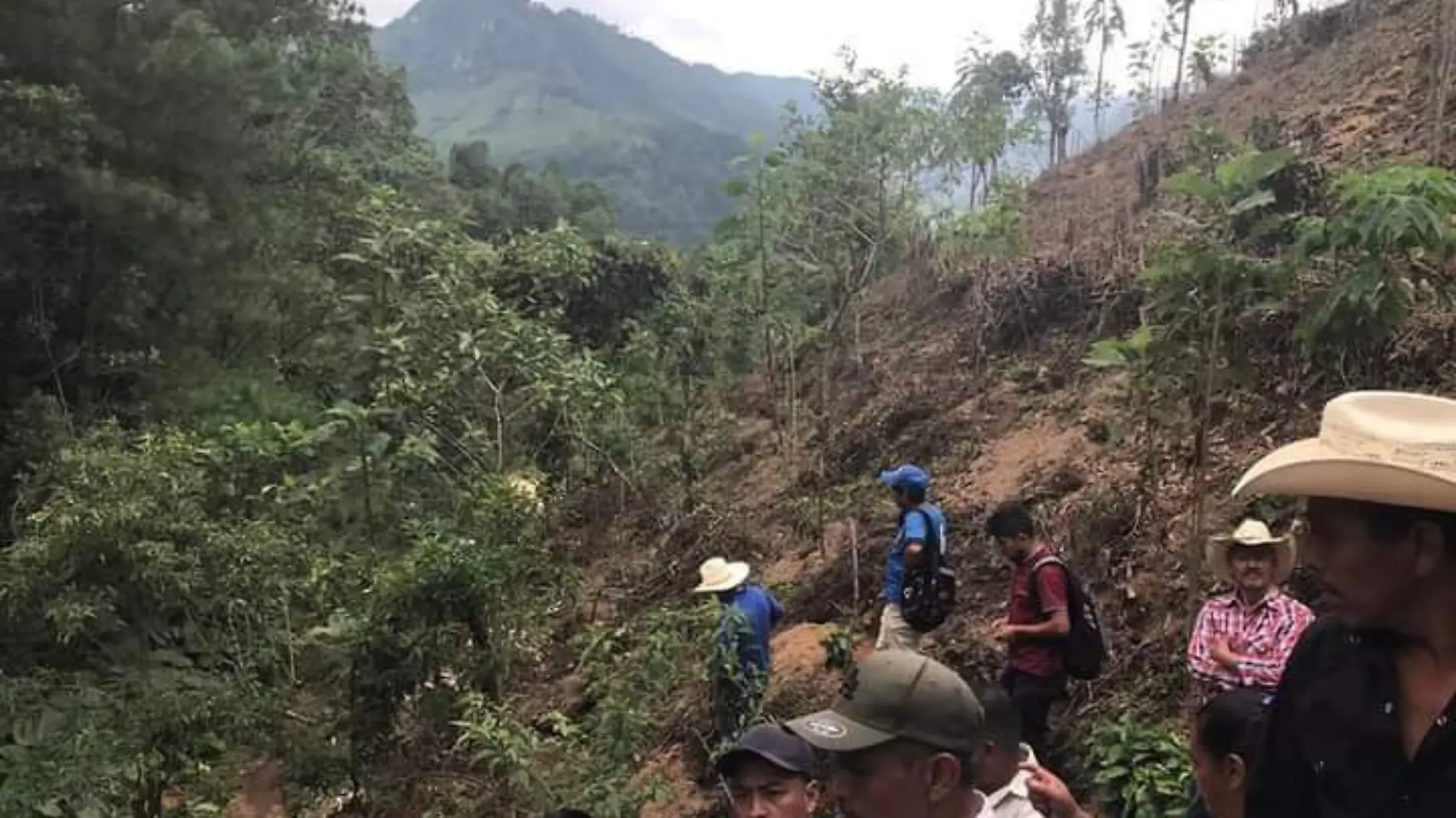 personas en el campo